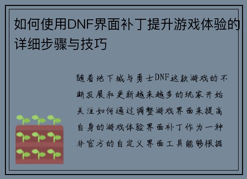 如何使用DNF界面补丁提升游戏体验的详细步骤与技巧